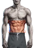 Beer belly
